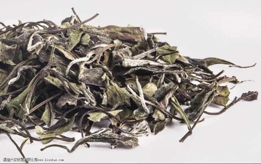 �����ɢ����ʲô����