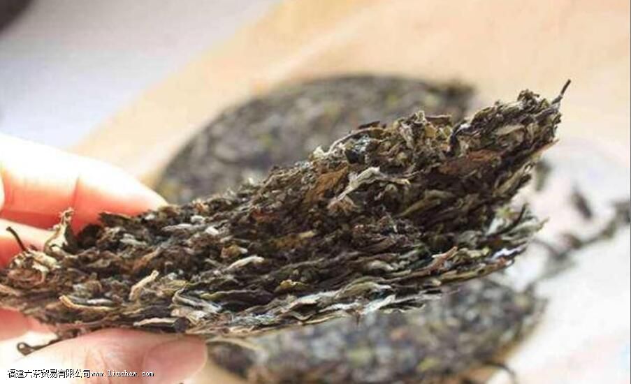 �����ô�����