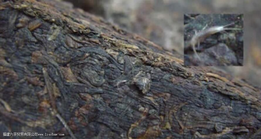 �����ʲô������ʲô