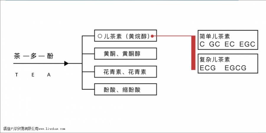 茶多酚是什么 茶多酚都有哪些作用 茶多酚是什么 茶多酚都有哪些作用