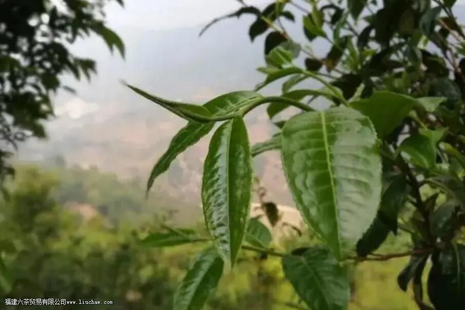 �������ʲô����Щ�ص�