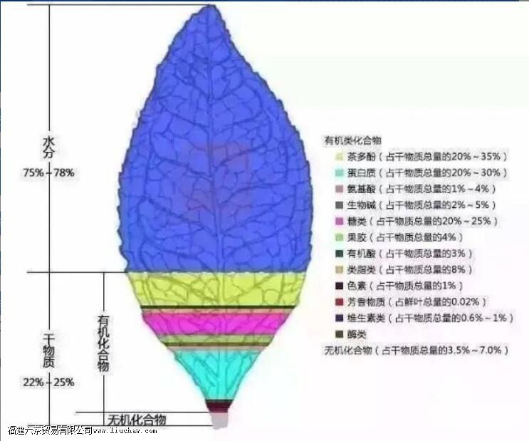 �����涼����ʲô�ɷ�