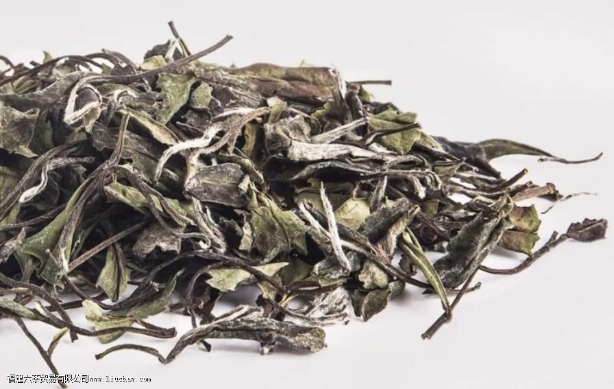 ²èΪʲô»á»Ø¸Ê£¬ÕâЩÎïÖÊÆð׏ؼüÐÔ×÷Óà ²èΪʲô»á»Ø¸Ê£¬ÕâЩÎïÖÊÆð׏ؼüÐÔ×÷ÓÃ