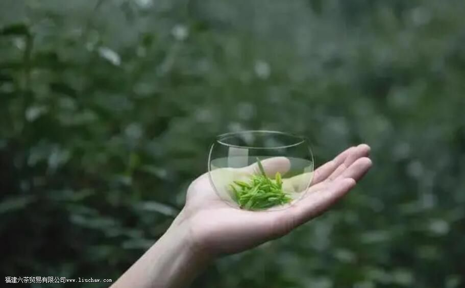 ��Ҷ������ֱ���ݲ���