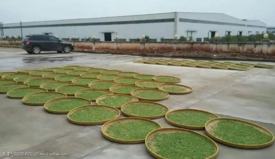 ��Ҷ������ֱ���ݲ���