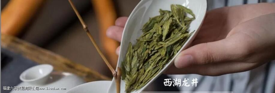 ��Ҷ���ڰ���7حһ�Ĵ�������������裬�Լ���Ҷ������֪ʶ