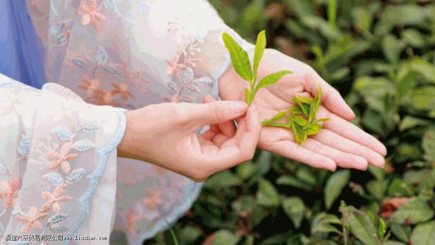 ��Ҷ�����ݶ���ʲô�й�