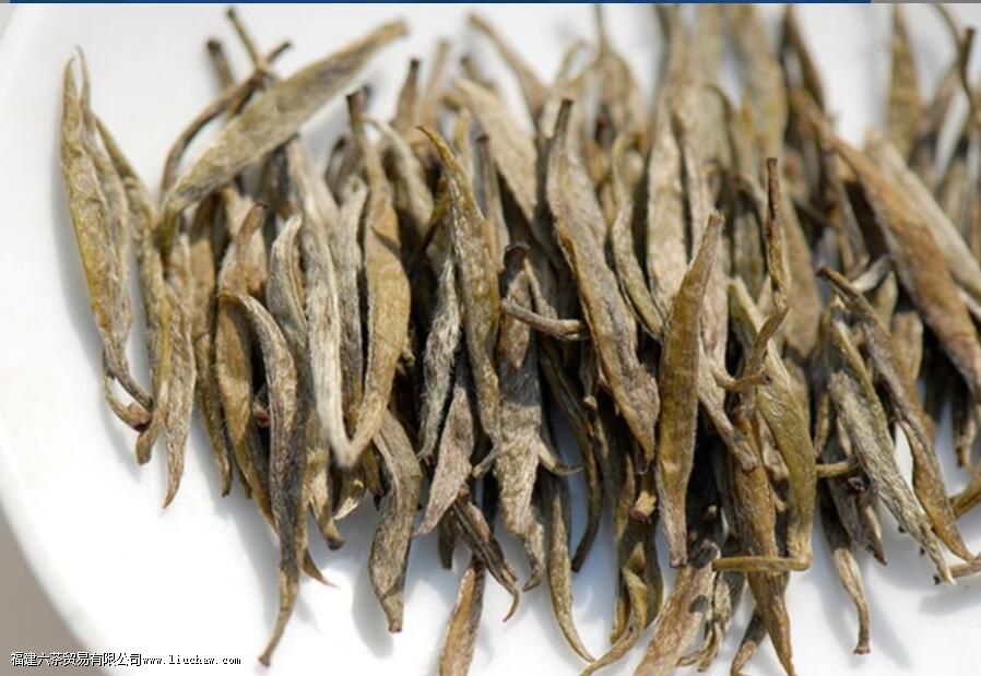 ��Ҷ����������Щ