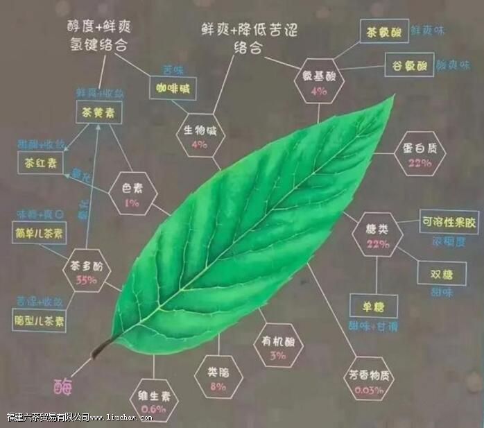 茶叶都富含什么成分 茶叶都富含什么成分