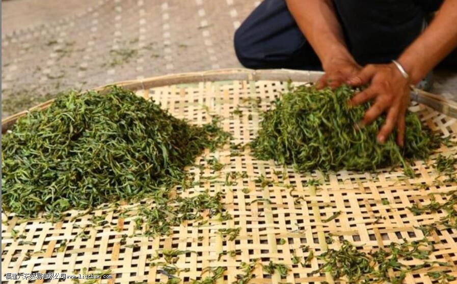 ��Ҷ������ʲô��˼