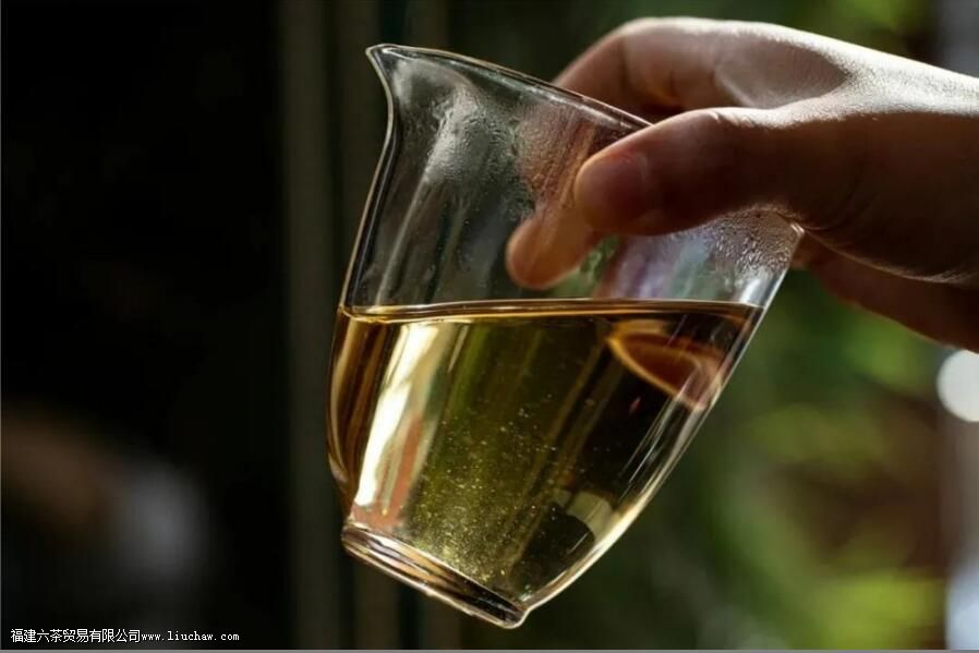 ��Ҷ�ϵ���ë��ʲô