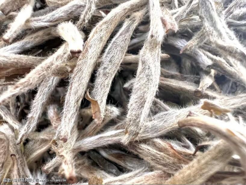 ��Ҷ�ϵ���ë��ʲô