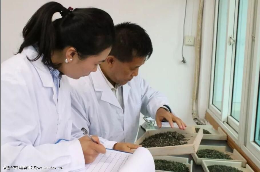 ��Ҷ��������Ŀ����Щ