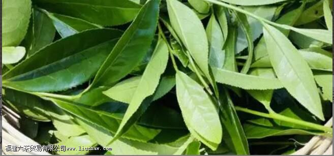 ��ҶΪʲô������