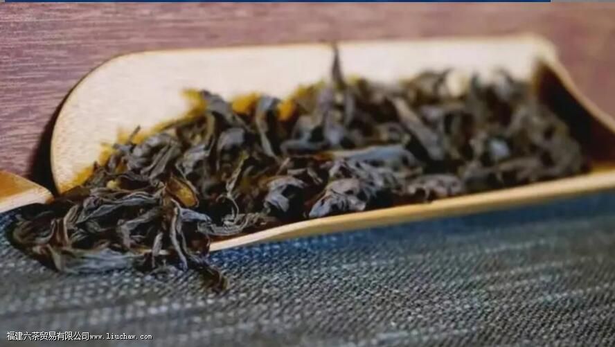 ��ҶΪʲô������