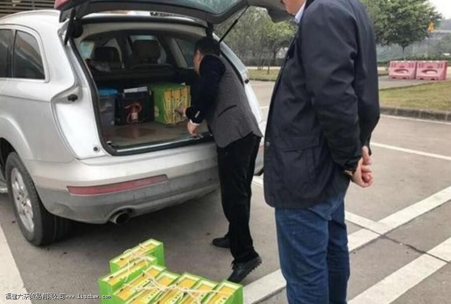 茶叶在车里放了一年还能喝吗 茶叶在车里放了一年还能喝吗