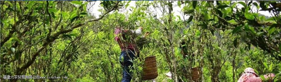 ��Ҷ�еĹ����빦�� ���������ȣ�����˭�ǶԵ�