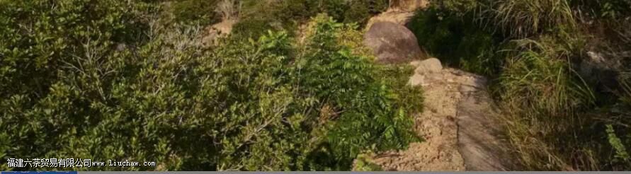 ��԰�����ɽ�裬�ڿڸ�����ʲô����