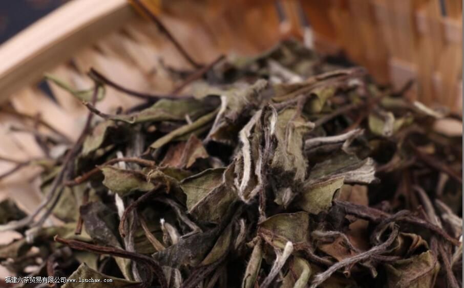 ��԰�����ɽ�裬�ڿڸ�����ʲô����