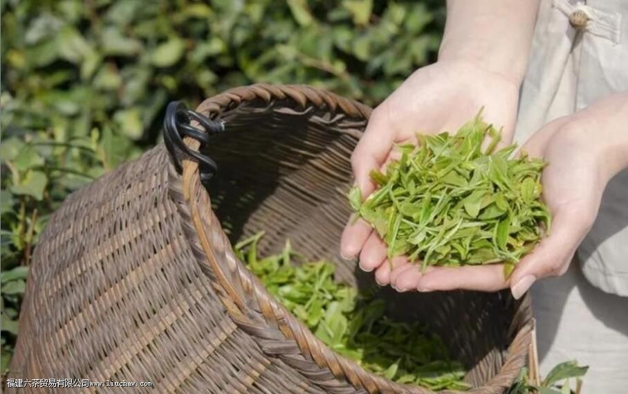 ���кȳ���ζ���ǲ�����⻹�ǳ��ݵ�����