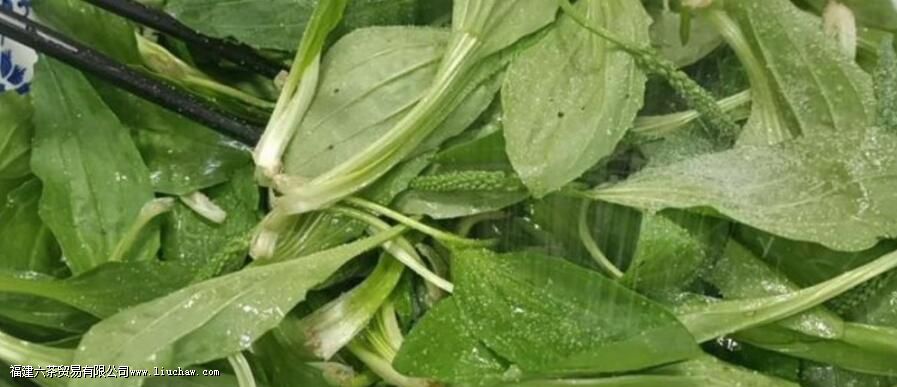 ��ǰ�ݲ���������