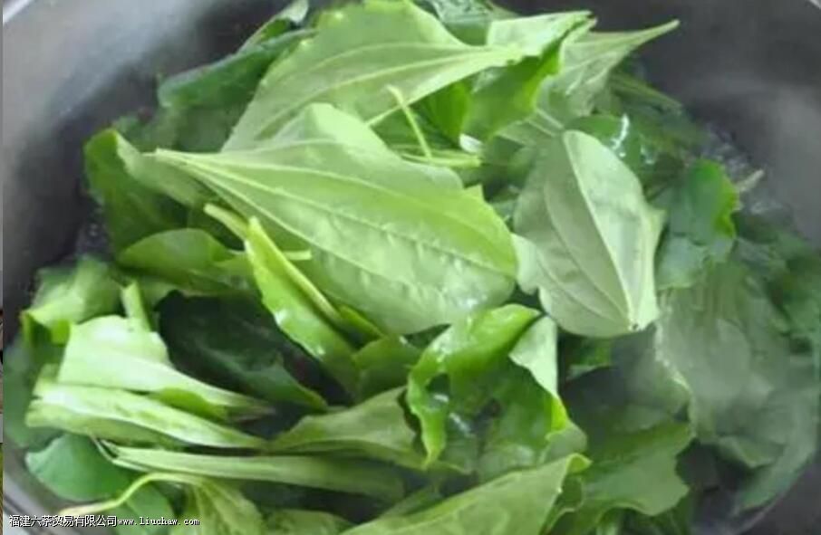 ��ǰ�ݲ���������