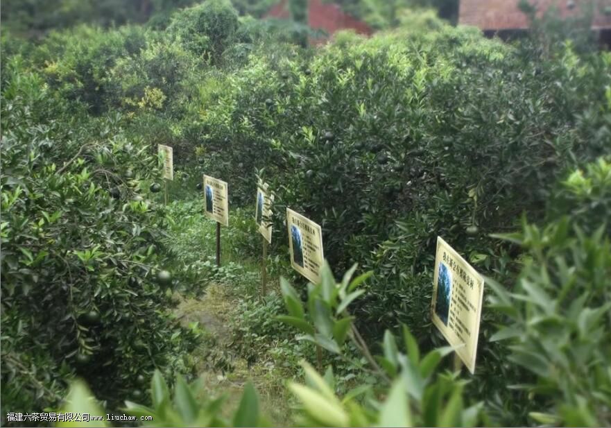 ��ƤԽ��Ʒ��Խ�ã��������