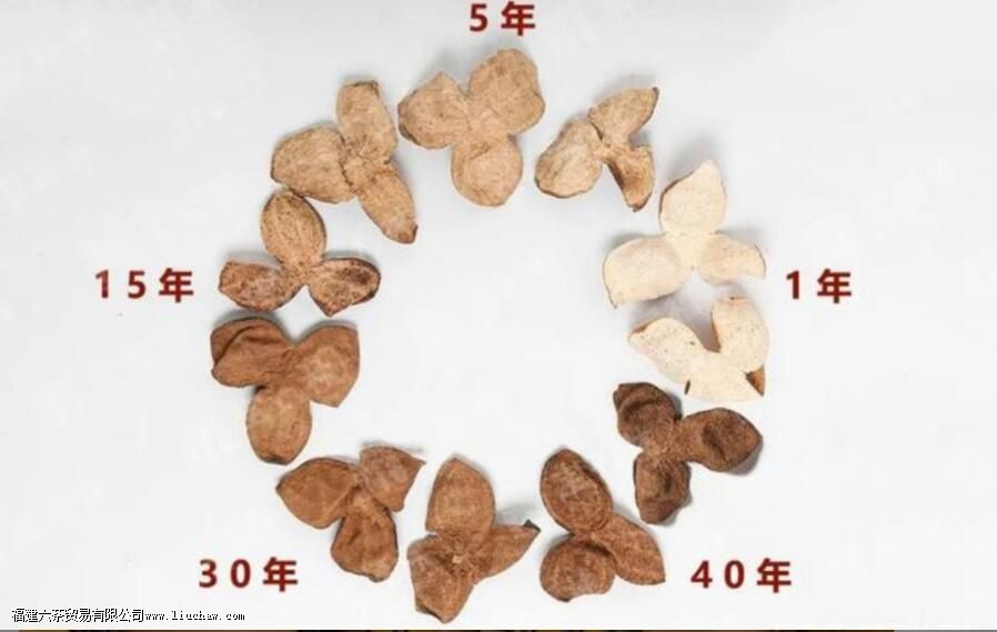 ��ƤԽ��Ʒ��Խ�ã��������