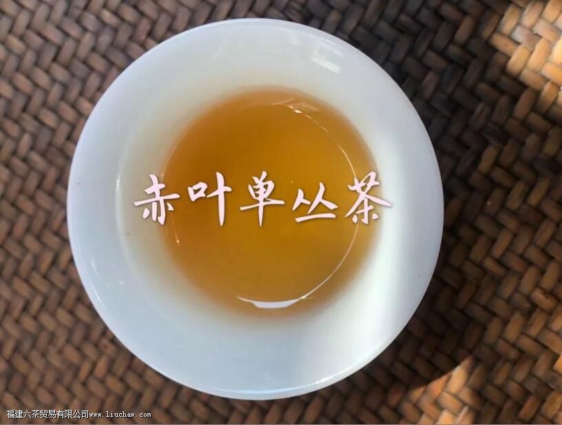 赤叶单丛是什么茶 赤叶单丛是什么茶
