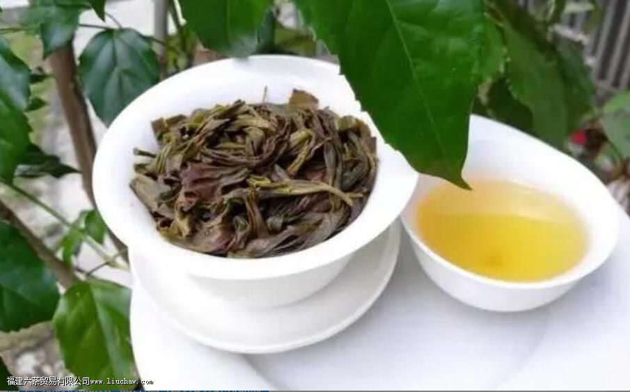 赤叶单丛是什么茶 赤叶单丛是什么茶