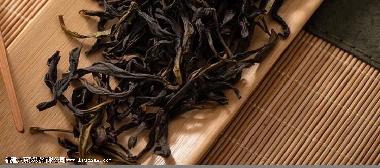 赤叶单丛是什么茶 赤叶单丛是什么茶