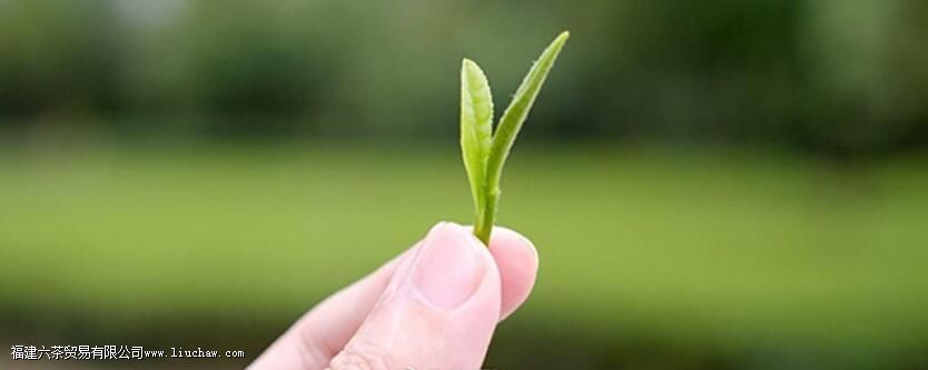 ������ص�