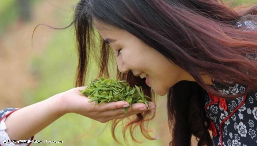 春茶是几月份的茶 春茶是几月份的茶