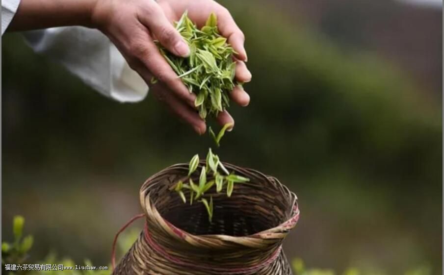 ���߲���������ѿ֪����