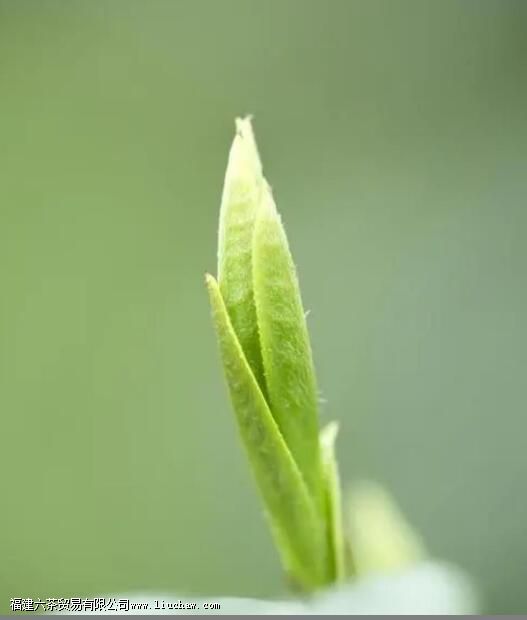 ���߲���������ѿ֪����