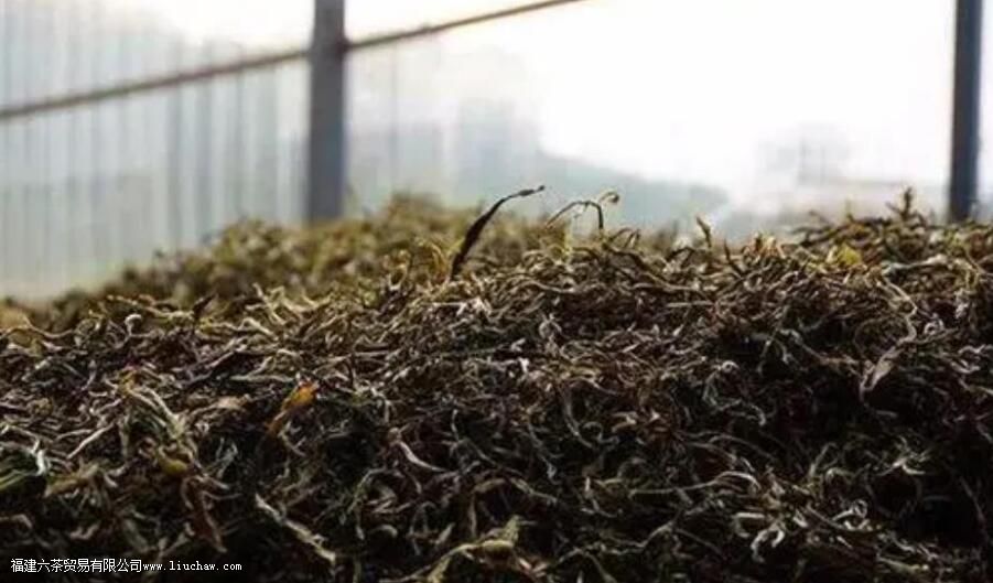 从5个维度,谈普洱生茶和熟茶的区别 从5个维度,谈普洱生茶和熟茶的区别