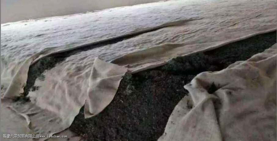 从5个维度,谈普洱生茶和熟茶的区别 从5个维度,谈普洱生茶和熟茶的区别