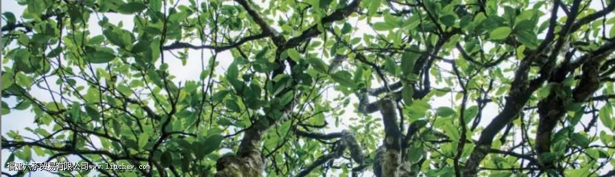 ���ն���ԭ���빤�սǶȷ������ն����Ƿ���д洢��ֵ