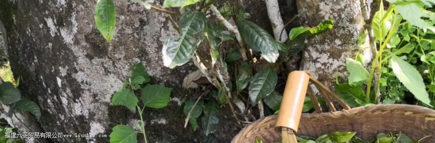 ���ն���ԭ���빤�սǶȷ������ն����Ƿ���д洢��ֵ