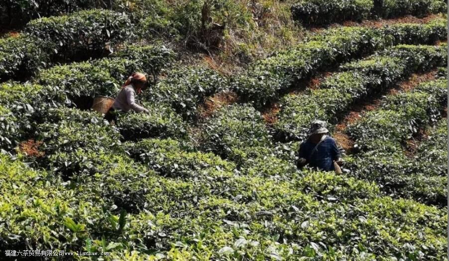 ���ն���ԭ���빤�սǶȷ������ն����Ƿ���д洢��ֵ