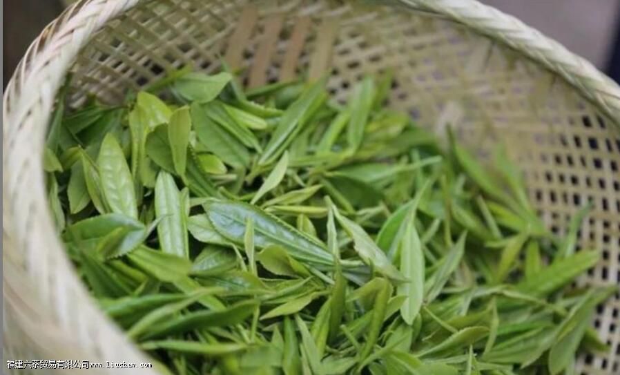 ��ش仪����ʲô��