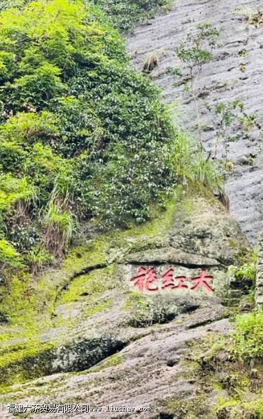 ����۲�ķ�չ����