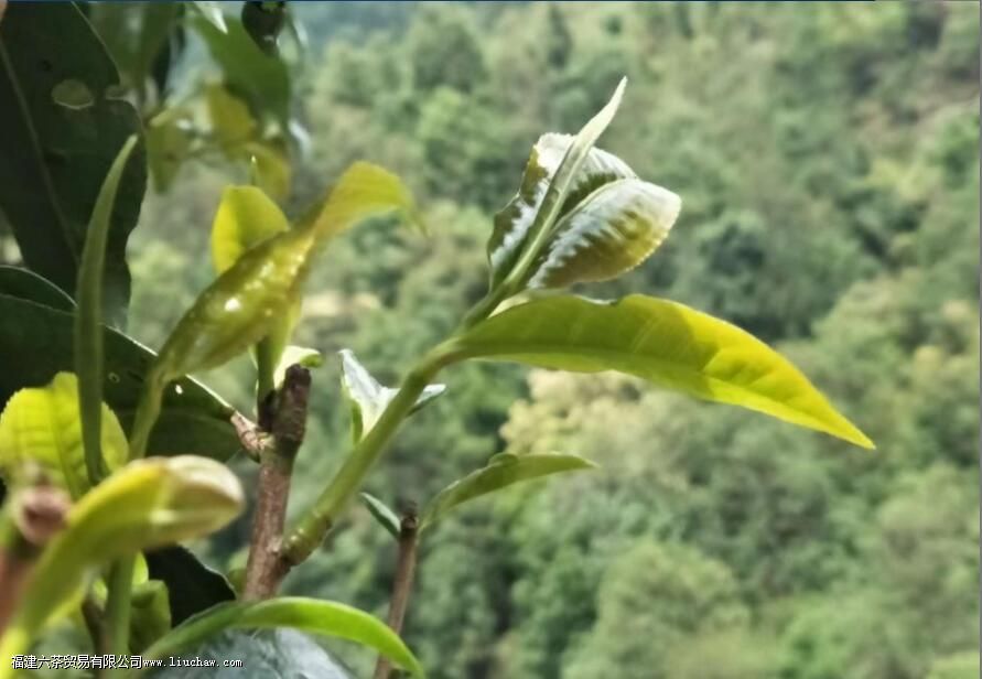 ���ѿ��ʲô��