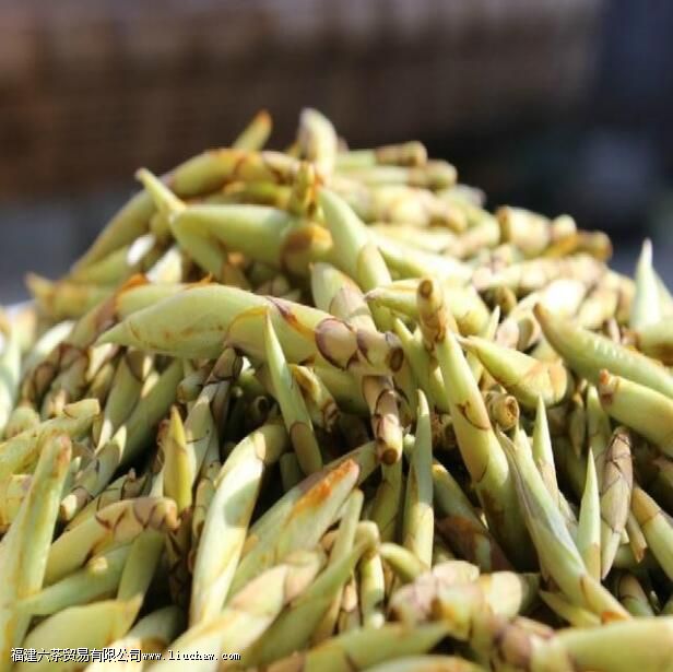 ������ӥ������