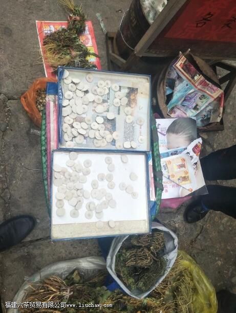 ������ӥ������