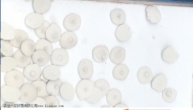 ������ӥ������