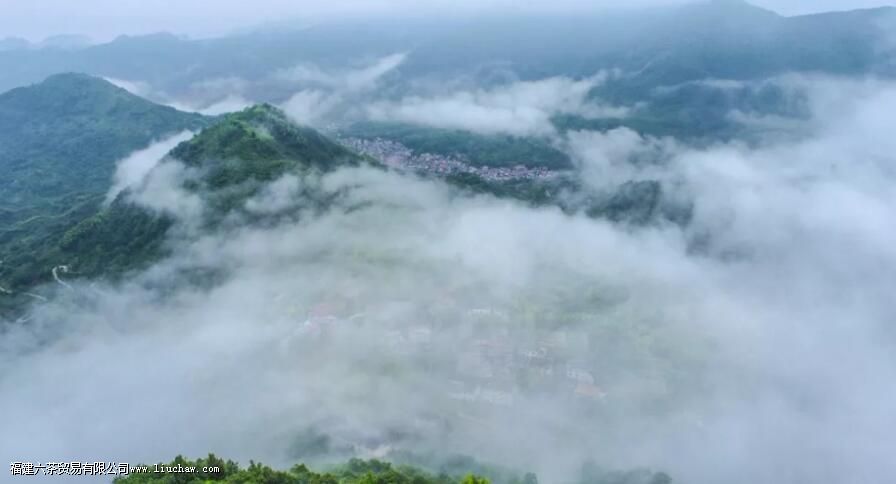 ���˶����ԺȲ裬��ôС������