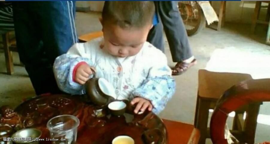 ���˶����ԺȲ裬��ôС������