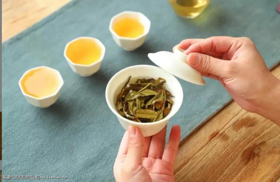 ���˶����ԺȲ裬��ôС������