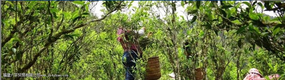 ���Բ��Ʒ������Щ